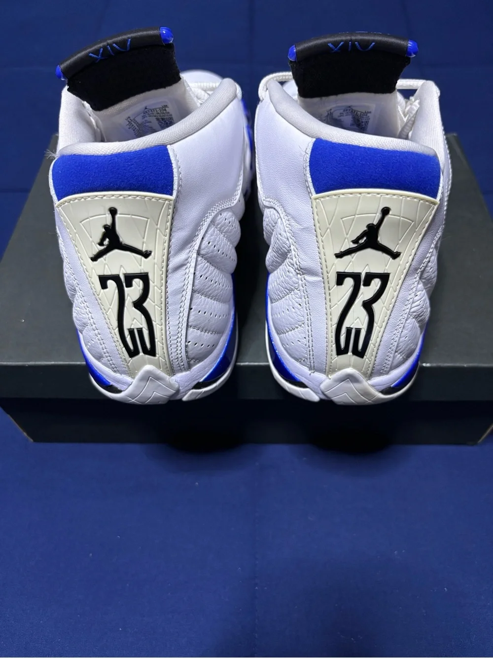 Jordan 14 Retro Hyper Royal 2020 Size 11